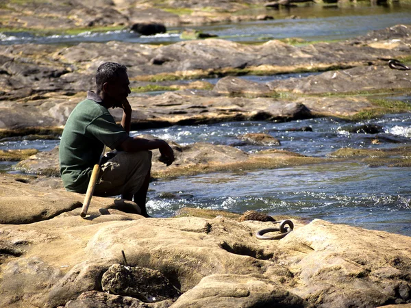 Mahout observando elefantes en el orfanato —  Fotos de Stock