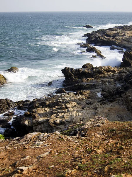 Beautiful landscape in Sri Lanka — Stock Photo, Image