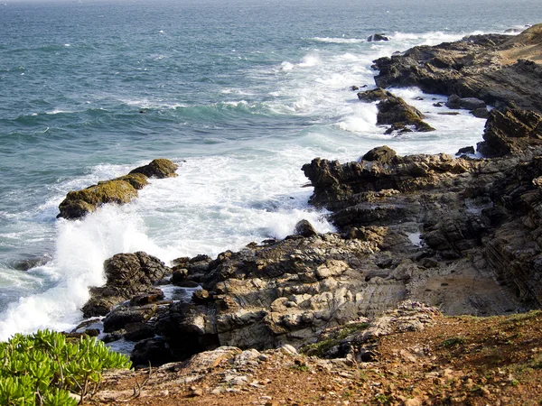 Beau paysage au Sri Lanka — Photo