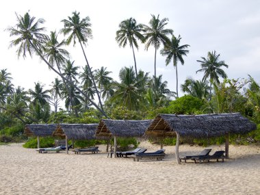 Palms Beach