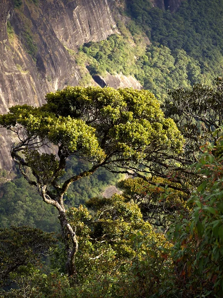 Hermoso paisaje en las montañas — Foto de Stock