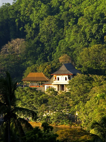 Tempel des Zahnes in Kandy, Sri Lanka — Stockfoto