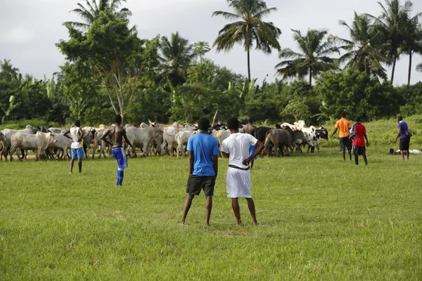 トレーニング中のアフリカのサッカーのチーム — ストック写真