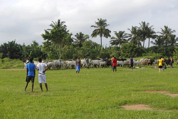 Afrikaanse voetbalteam tijdens de training — Stockfoto