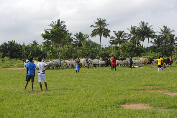 African soccer team during training
