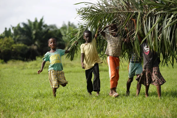 Les enfants africains aident avec les feuilles de palmier carring — Photo