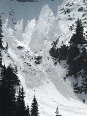 Almanya 'nın Bavyera Alplerinde kar gösterileri, kışın