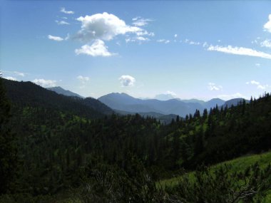 İlkbaharda Avusturya 'nın Tyrol kentindeki Guffert Dağı' na dağ yürüyüşü turu