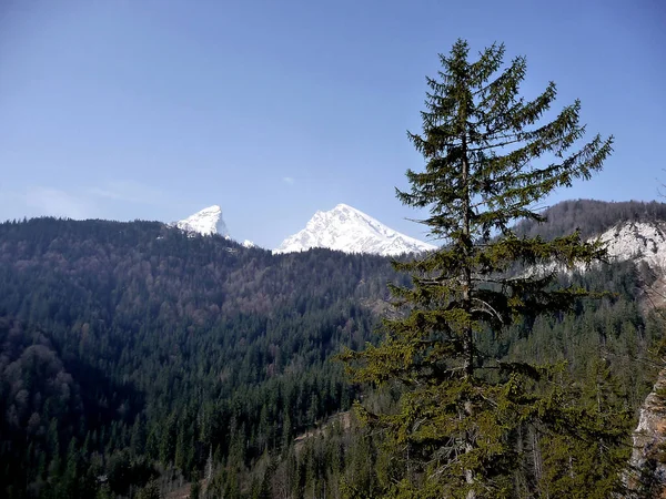 Beroemde Watzmann Berg Beieren Duitsland — Stockfoto