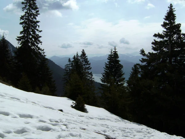 Walchensee Uitzicht Vanaf Herzogstand Beieren Duitsland Winter — Stockfoto