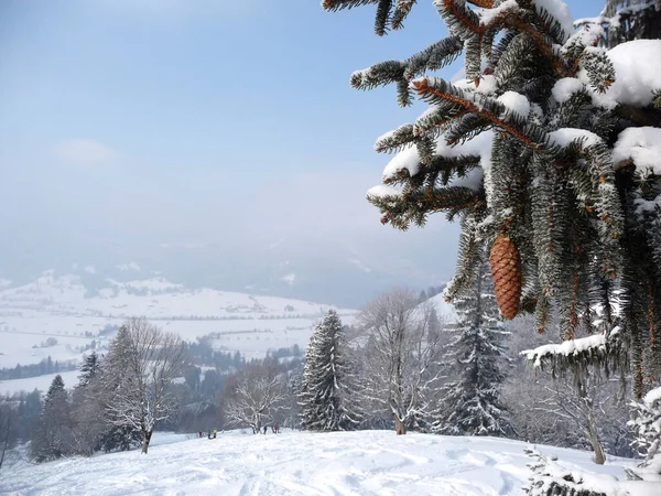 Zimowa Wycieczka Góry Hornle Bawaria Niemcy — Zdjęcie stockowe