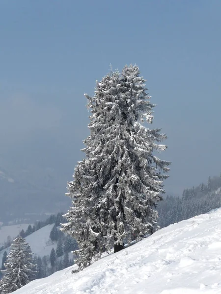 Winter Mountain Tour Hornle Mountains Bajorország Németország — Stock Fotó