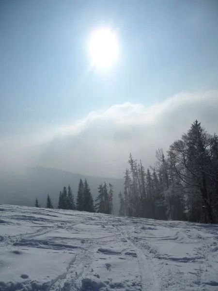 Winter Mountain Tour Hornle Mountains Bavaria Germany — Stock Photo, Image