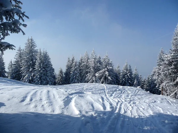 Randonnée Hivernale Dans Les Montagnes Hornle Bavière Allemagne — Photo