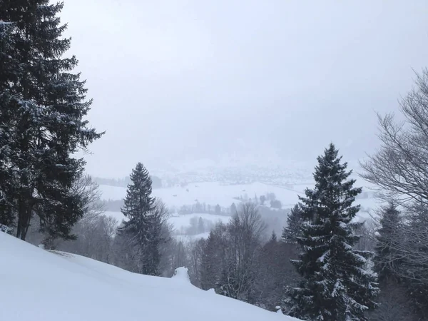 Excursión Senderismo Invierno Las Montañas Hornle Baviera Alemania — Foto de Stock