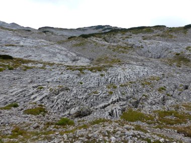 Sonbaharda Allgau Alpleri, Bavyera, Almanya 'da Hoher Ifen dağı turu