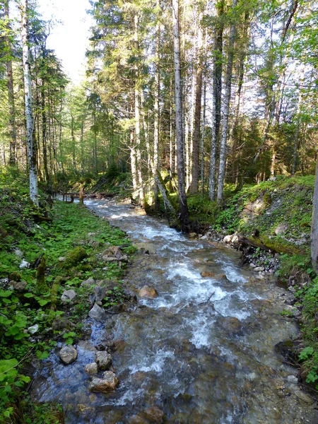 Bergtour Hoher Ziegspitz Bayern Deutschland — Stockfoto