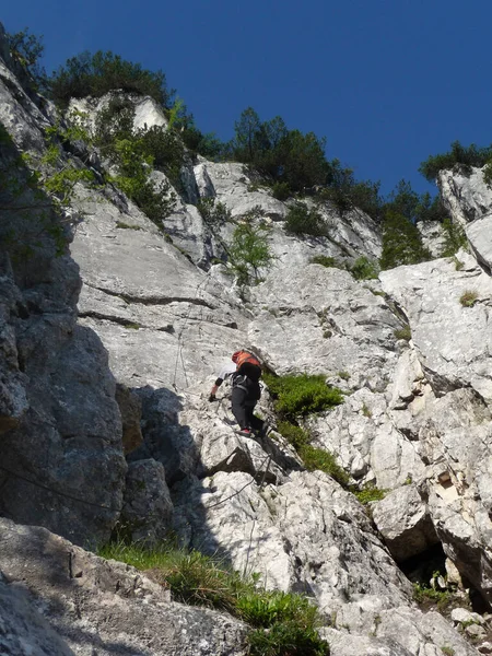 Climber Ferrata Seebensee Tajakopf Mountain Tyrol Austria — Stock Photo, Image