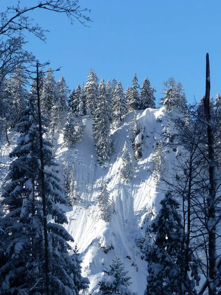 冬のハイキングツアー Seekarkreuz シーケルクルーズ 山とレングリエ小屋 バイエルン州 ドイツ — ストック写真