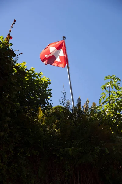 Bandiera Svizzera Lago Walensee Murg Svizzera — Foto Stock