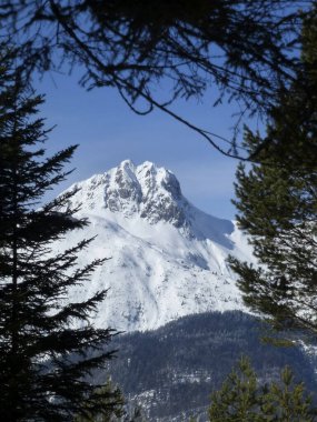 Pleisenspitze dağına kış yürüyüşü turu, Tyrol, Avusturya