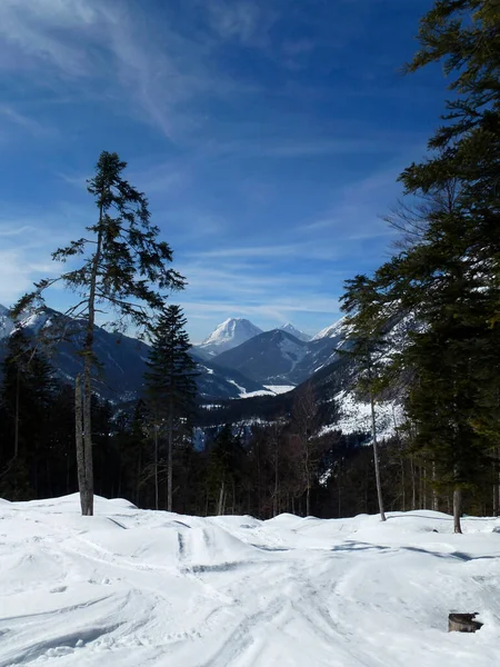 Pleisenspitze Dağına Kış Yürüyüşü Turu Tyrol Avusturya — Stok fotoğraf