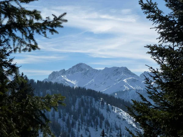 Winterwandeltocht Naar Pleisenspitze Tirol Oostenrijk — Stockfoto