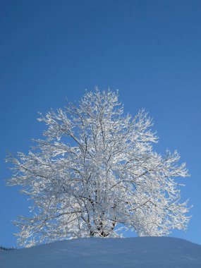 Hoher Frassen dağına kış yürüyüşü turu, Raggal, Avusturya