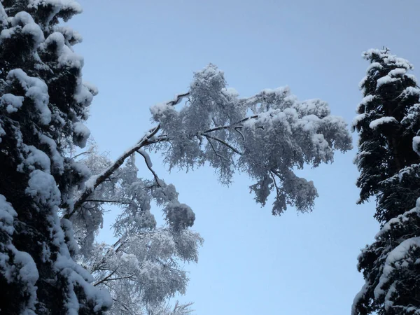 Vintervandring Till Hoher Frassen Berg Raggal — Stockfoto