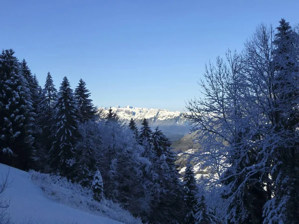 Escursione Invernale Alla Montagna Hoher Frassen Raggal — Foto Stock