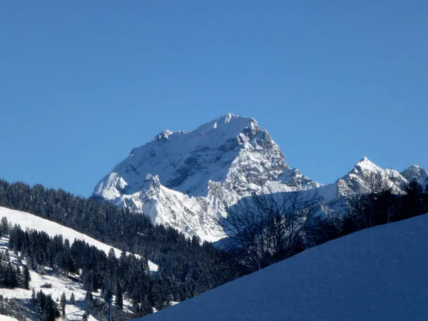 Hoher Frassen Dağına Kış Yürüyüşü Turu Raggal Avusturya — Stok fotoğraf