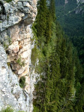 Postalmklamm kanonu, Salzburg 'daki ferrata yoluyla, Avusturya Salzkammergut, Avusturya