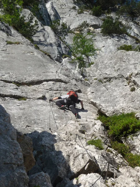 Escalador Vía Ferrata Seebensee Montaña Tajakopf Tirol Austria —  Fotos de Stock