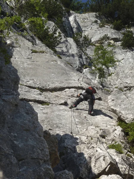 Escalador Vía Ferrata Seebensee Montaña Tajakopf Tirol Austria — Foto de Stock