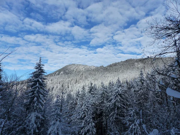 Excursión Invierno Montaña Seekarkreuz Cabaña Lengrieser Baviera Alemania — Foto de Stock