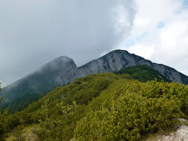 Passeio Montanha Notkarspitze Ammergau Alps Alemanha — Fotografia de Stock