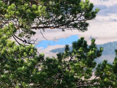 Osterfeuerkopf dağına dağ turu, Bavyera, Almanya