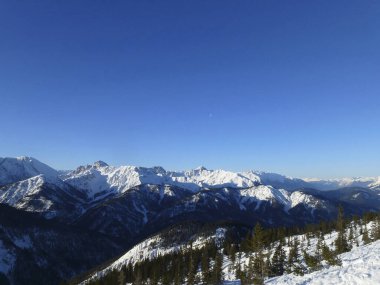 Pleisenspitze dağına kış yürüyüşü turu, Tyrol, Avusturya