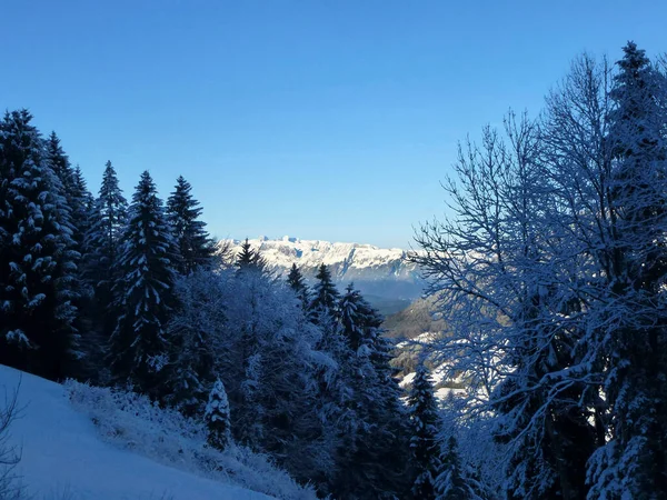 Winterwandeltocht Naar Hoher Frassen Berg Raggal — Stockfoto