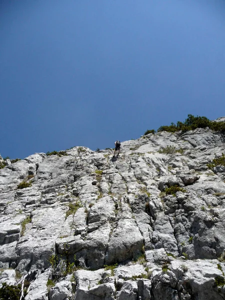 Climber Ruchenkoepfe Mountains Bavaria Germany — 스톡 사진