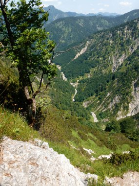 Almanya, Bavyera 'daki Schildenstein Dağı' na dağ yürüyüşü turu