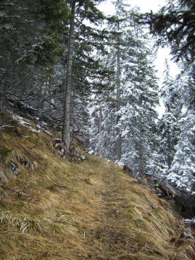 Kış manzarasında dağ turu