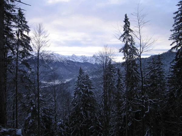 Winterbergwanderung Simetsberg Bayern Deutschland — Stockfoto