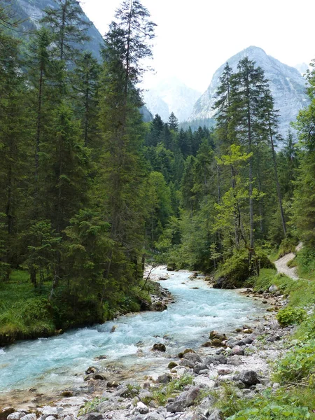 Río Partnach Cañón Partnachklamm Reintal Garmisch Partenkirchen Baviera Alemania —  Fotos de Stock