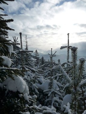 Bavyera Alplerindeki dağ manzarası, kışın