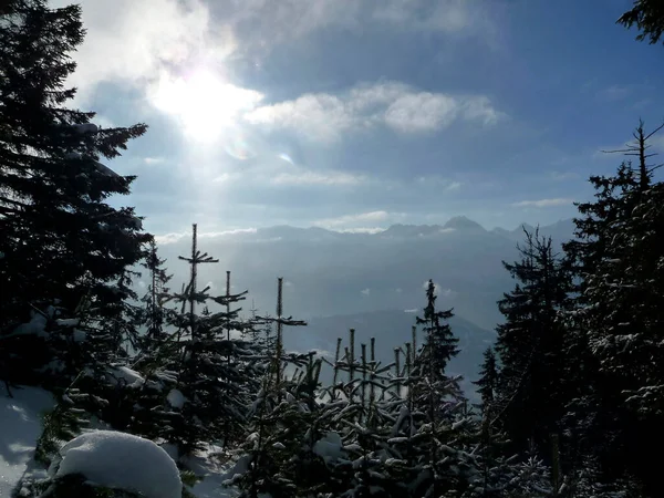 Panorama Montano Nelle Alpi Bavaresi Inverno — Foto Stock