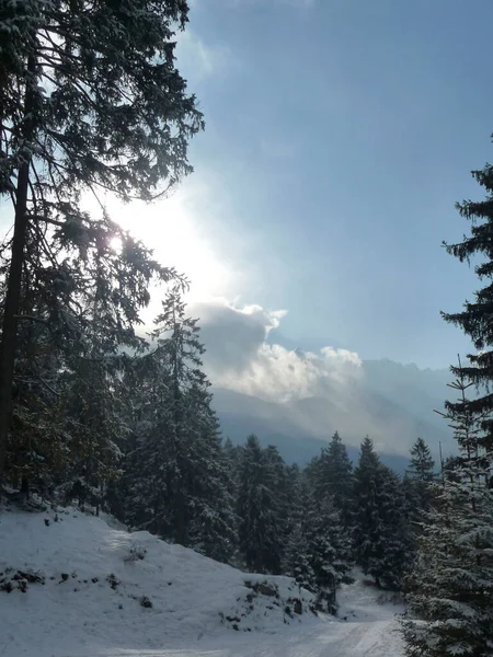 Panorama Montaña Los Alpes Bávaros Invierno — Foto de Stock