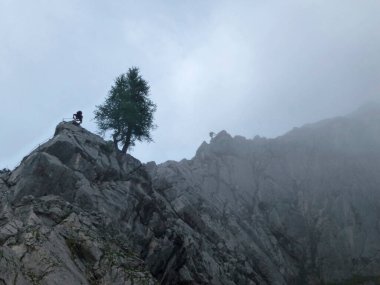 Yaz mevsiminde Seebenklettersteig 'de Ferrata, Tyrol, Avusturya üzerinden tırmanan