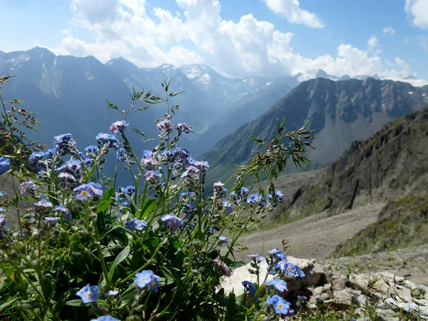 Sendero Alta Altitud Stubai Vuelta Tirol Austria —  Fotos de Stock