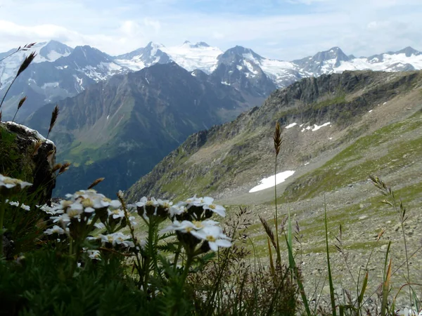 Stubai yüksek irtifa yürüyüş parkuru, 4 tur Tyrol, Avusturya